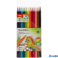 Карандаши цветные 12шт Enovation 6-гранные пластиковые EC110-12 1504241 Deli РА-00020180