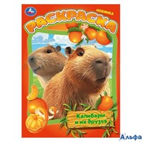 Раскраска Умка А4 Капибары и их друзья РА-00020292