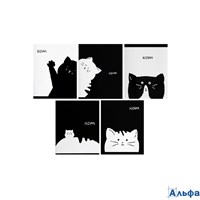 Тетрадь 48 листов в линейку Calligrata Кот микс РА-00021395