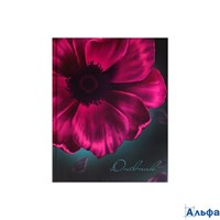 Дневник школьный для 1-11 классов Цветок твердая обложка 7БЦ глянцевая ламинация 40 листов РА-00021390