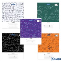 Тетрадь 24 л. клетка обложка картон Чертежи и формулы  Brauberg 403008 РА-00021312