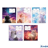 Тетрадь 24 листа А5+ клетка Мечты кота выборочный УФ-лак 68536 Феникс  РА-00021330