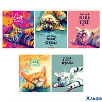 Тетрадь А5 48л клетка скрепка мелов.картон Нужный кот микротексутра ассорти ACADEMY STYLE 15040/5 РА-00021668