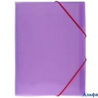 Тетрадь А4 80л клетка гребень пласт.обл. Однотон FolderBook Фиолетовая на резинке Хатбер 80ТП4 РА-00021655