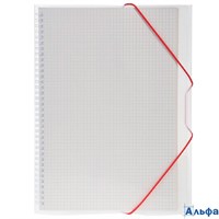 Тетрадь А4 80л клетка гребень пласт.обл. Однотон FolderBook Белая на резинке Хатбер 80ТП4 РА-00021654