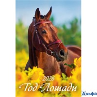 2026 Календарь перекидной 170х250мм Гребень 6л Год лошади. Вид 2 УФ-лак Атберг 1026013 РА-00021676