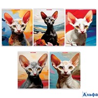 Тетрадь А5 96л клетка скрепка мелов.картон Сфинксы soft touch ассорти Асаdemy style 15198/5 РА-00021757