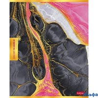 Тетрадь А5 80л клетка скрепка Яркий мрамор металл. Hatber 80Т5мтВ1 РА-00017863