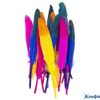 Перья декоративные прямые 10-15 см 24 шт. 6 цветов двухцветные ассорти Остров сокровищ 661381 РА-00021956