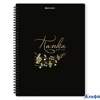 Папка-тетрадь для нот А4 20 вкладышей на 40 страниц на гребне пластик черная Brauberg 404643 РА-00022004