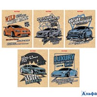 Тетрадь А5 48л клетка скрепка карт.обл. крафт Street racing тисн.фольгой ассорти Academy Style 14085 РА-00021733