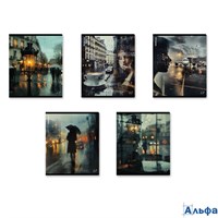 Тетрадь А5 48л клетка скрепка мелов.картон Outside глянц.лам. ассорти Erich Krause 63301 РА-00021734