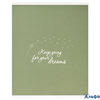 Тетрадь 96 листов А5+ клетка Иди к своей мечте выборочный УФ-лак, ламинация софт-тач вельвет, 65г/м2 РА-00021429