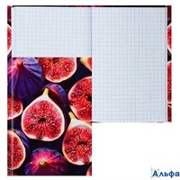 Книжка записная А6 48л клетка тв.обл. Инжир глянц.лам. KLERK 242736 РА-00021056