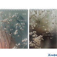 Блокнот А5 60л клетка гребень Прекрасные слова ассорти PROF-PRESS Б60-9402 РА-00022229