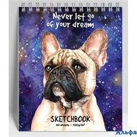 Скетчбук А6 40л гребень тв.обл. Бульдог мат.лам. 120г/м2 Seventeen 10739 РА-00022296
