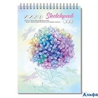 Скетчбук А5 40л гребень тв.обл. Гортензия блок 3 вида мат.лам. 80г/м2 ФЕНИКС+ 61567 РА-00022291