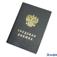 Бланк Трудовая книжка Госзнак РА000009936