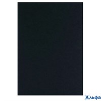 Бумага для пастели А4 Ground черн.160г БРGN/А4 Лилия ЦЕНА ЗА 1 ЛИСТ. РА-00022915