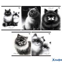 Тетрадь А5 48л клетка скрепка мелов.картон Пушистые коты ассорти BG Т5ск48 63531 РА-00023131