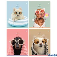 Тетрадь А5 48л линия скрепка мелов.картон Lovely sandy touch ассорти BG Т5ск48_вл 60316 РА-00023132