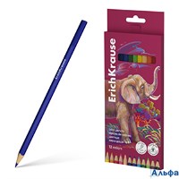 Карандаши цветные 12цв 3-гран. дерево заточенные Safari карт.уп. Erich Krause 61814 РА-00023032