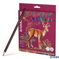 Карандаши цветные 24цв 3-гран. дерево заточенные Safari карт.уп. Erich Krause 61816 РА-00023035