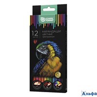 Карандаши цветные 12цв Дикая планета трехгранные супермягкие гриф. schoolФормат КЦ12-ДП РА-00017973