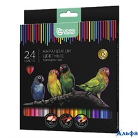 Карандаши цветн. Дикая планета SchoolФормат 24 цв. 3-гран. КЦ24-4ДП 104368 РА000013260