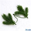 Декор Веточка ели 13×9×3 см РА-00007888