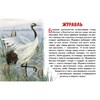 изд-во Литур НабКарт ОбучКарточ Перелетные птицы России РА-00011226