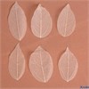 Сухие листья (набор 5 шт) размер 1 шт:: 8×5 см цвет белый 3099222 РА-00013630