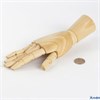 Манекен художественный Brauberg Art Classic Рука высота 25
см. женская правая дерево 191299 РА-00016924