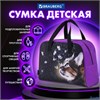 Сумка с ручками с ручками 35x25x15 см Dream cat Brauberg 271592 РА-00016944