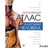 изд-во АСТ Атл АтлЧелПрофПопИз Популярный атлас анатомии человека Палычева Л.Н. РА000034146 - фото 135009