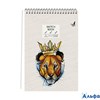Скетчбук 40л А5 сп. тв. обл. The king мат. лам. 100г/м2 ТС5404828 Эксмо РА-00006384