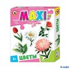 Пазл-макси Цветы 03534 Русский стиль РА-00008229