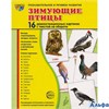 изд-во Сфера НабКарт ПозРечРазвитие Зимующие птицы. 16 демонстрационных картинок с текстом на оборот РА-00009358