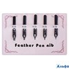 Набор перьев для каллиграфии 5 штук РА-00009618