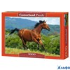 Пазл 1000 Лошадь С-102396 Castor Land Польша РА000023192