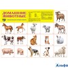 изд-во Сфера Плакат А2 ПозРечРазвитие Домашние животные РА-00003642