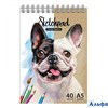 Скетчбук 40л А5 гр. Скетчпад Бульдог бел/крафт бум. жест. подлож. глянц. лам. 80г/м2 60511 Феникс 5/ РА-00010017