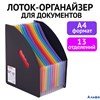 Лоток-органайзер вертикальный для бумаг и документов 13 отд. DOCS А4 черный 271153 BRAUBERG РА-00012558