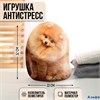 Игрушка антистресс Шпиц 9326991 РА-00012931