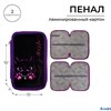 Пенал 2 секции 125*205 с наполн. 23 предм. 30П26/2 Calligrata дев Котик 5493289 РА-00013306