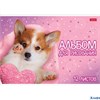 Альбом для рисования 12л скоба Любимые хвостики обл.мелов.картон 12А4В Хатбер РА-00013632