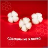 Сухие цветы хлопка набор 3 шт. размер 1 шт. 6 × 6 см цвет белый РА-00013751 - фото 138644