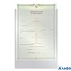 Обложка для свидетельства о рождении, 190*263 мм, без отверстий, 0,12 мм, ДПС, 1746 1746 - фото 141596