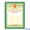 Благодарственное письмо А4 мелованная зеленая 122093 BRAUBERG РА000041447 - фото 142254
