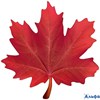 Декоративный элемент Кленовый лист красный 3001293 РА-00021203 - фото 143049